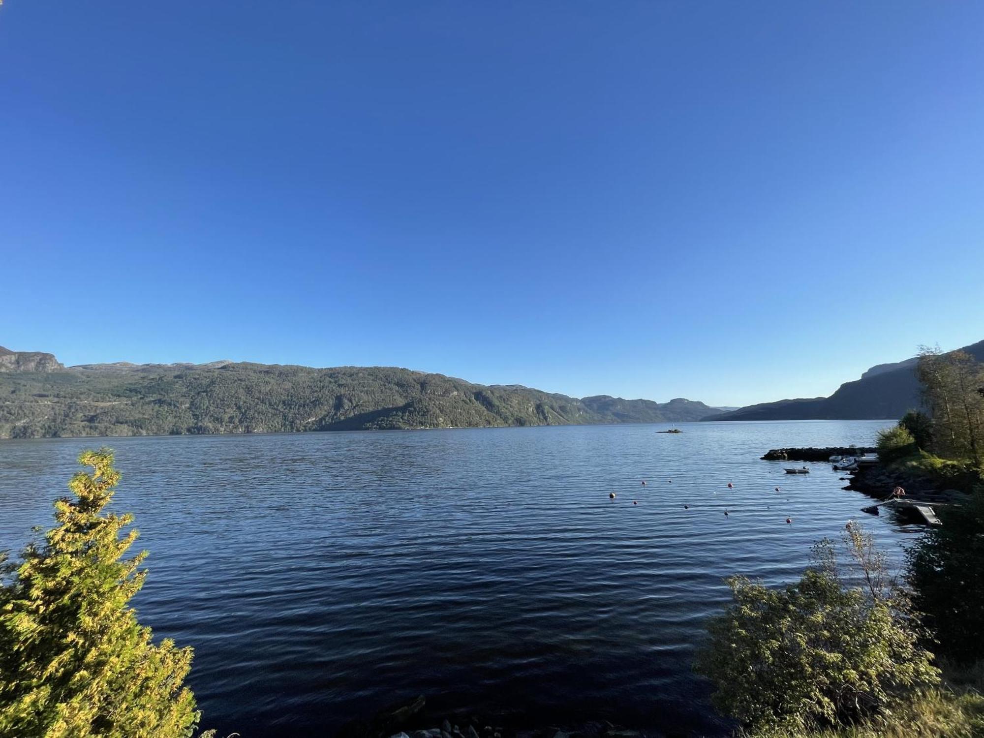 Sauda Fjord Camping Saudasjoen Экстерьер фото